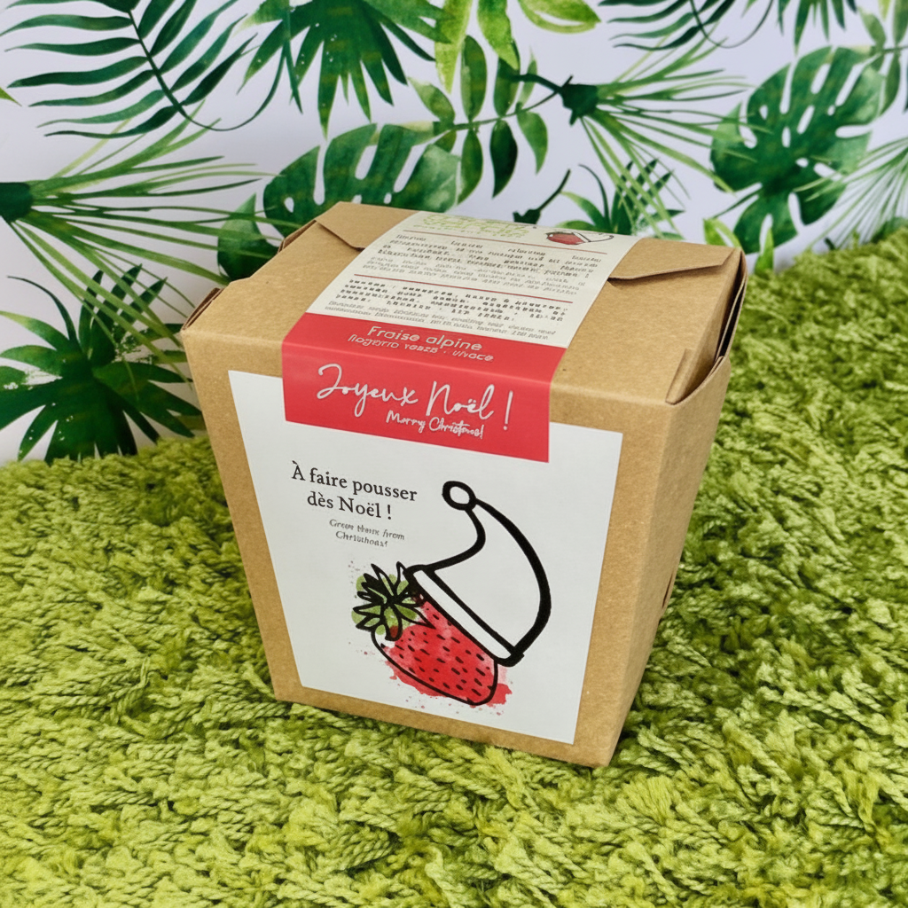 Jardin en boîte « Joyeux Noël ! »