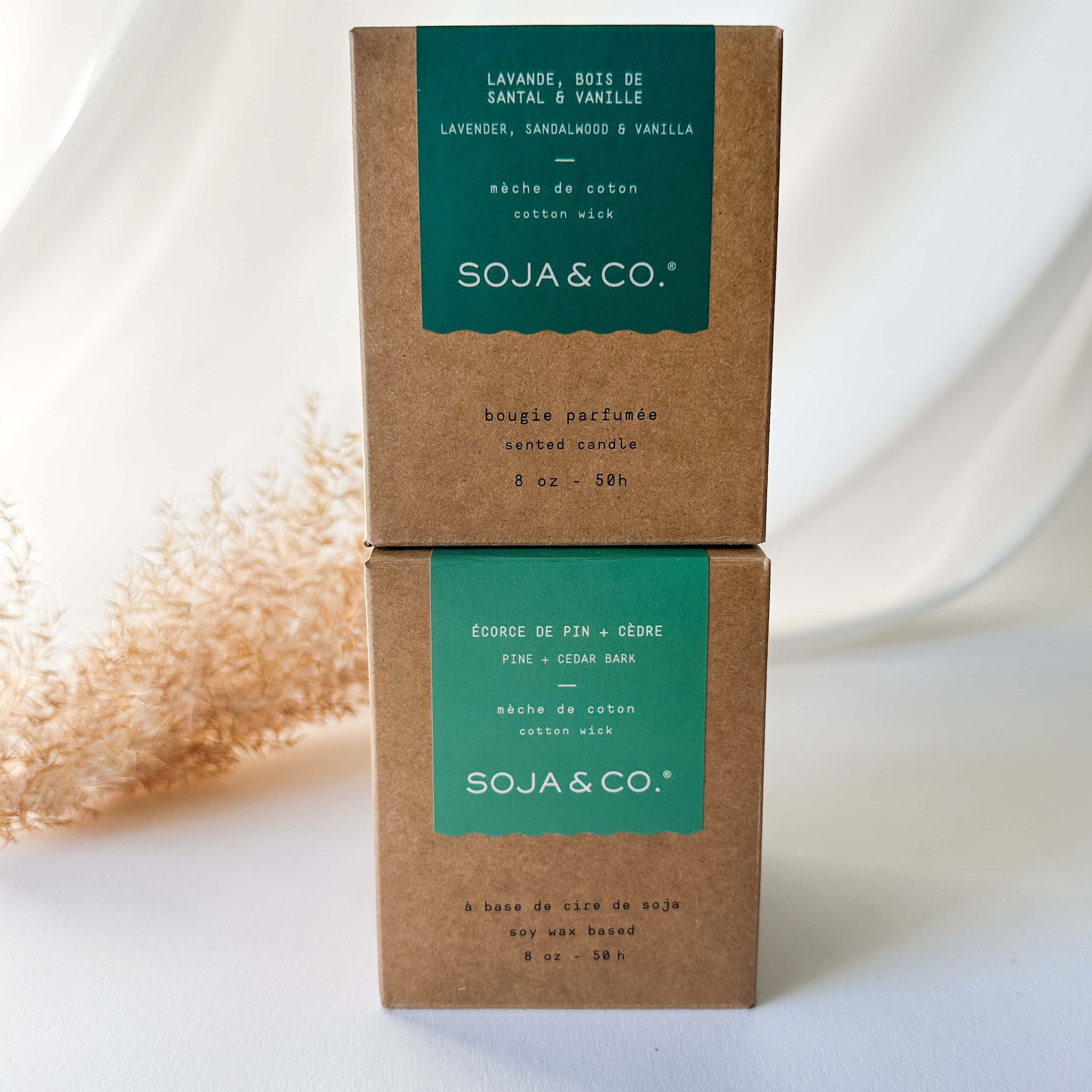 Soja-2bougies.jpg