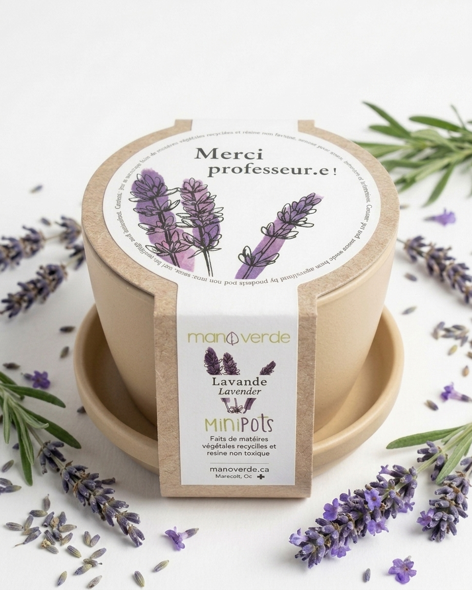 Jardin en boîte « Merci, Professeur.e ! »