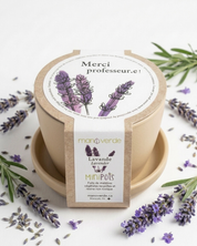 Jardin en boîte « Merci, Professeur.e ! »