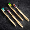 Brosse à dents de couleurs pour enfants en bambou